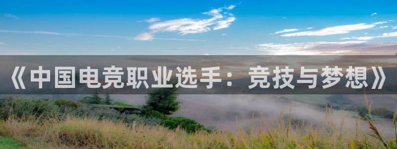 南宫电竞